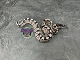 VPI Axanthic 66% het Clown 66% het Piebald - Female