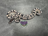 VPI Axanthic 66% het Clown 66% het Piebald - Female