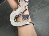 VPI Axanthic Black Head 66% het Piebald 50% het Lavender Albino - Male
