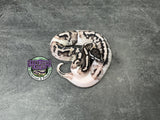VPI Axanthic Piebald 50% het Lavender Albino - Female