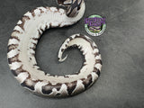 VPI Axanthic Black Head Red Gene 66% het Piebald 50% het Lavender Albino - Female