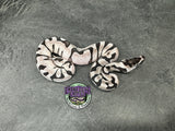 Super Enchi VPI Axanthic - Partho Female